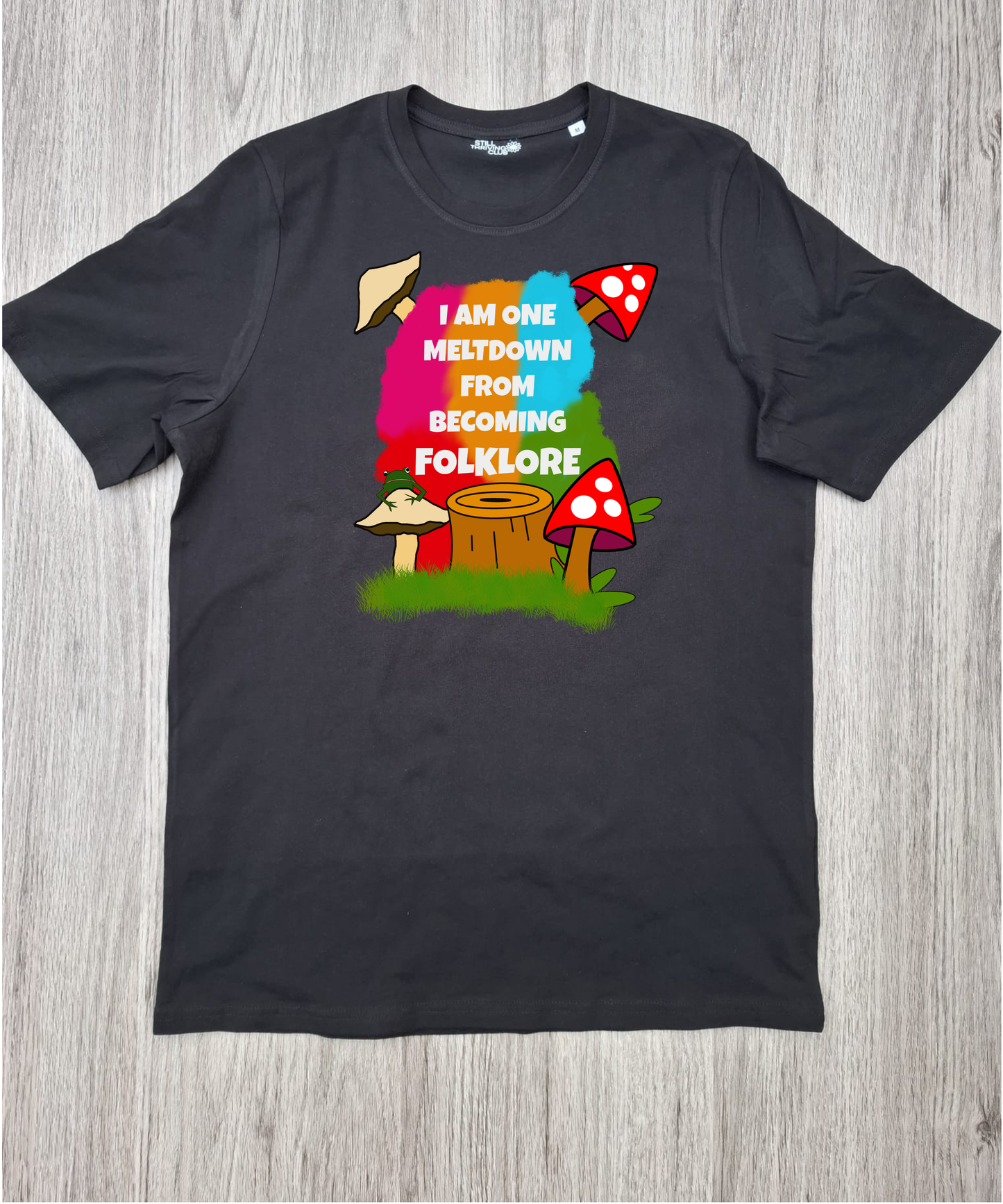 One Meltdown From Folklore | Neurodivergent Graphic T-Shirt